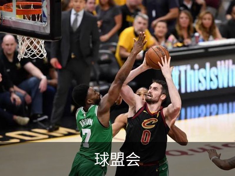 球盟会概况